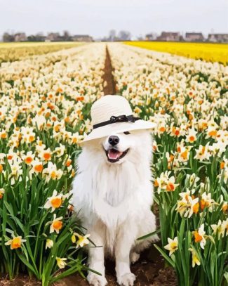 Samoyed Enjoying The Spring diamond painting