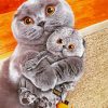 Scottish Fold Cats diamond painting