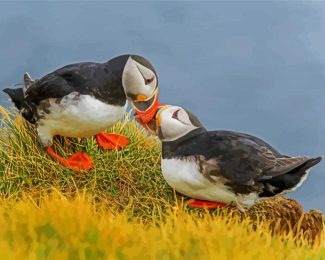 Seabirds diamond painting