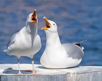 Seaguls diamond painting