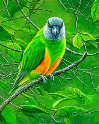 Senegal Bird Art diamond painting