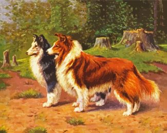 Shelties diamond painting