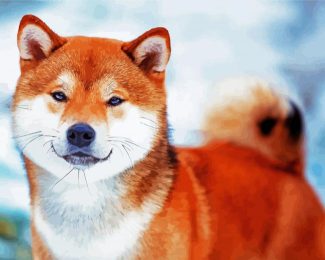 Shiba Inu Puppy diamond painting