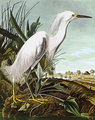 Snowy Heron By John James Audubon diamond painting