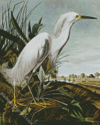 Snowy Heron By John James Audubon diamond painting