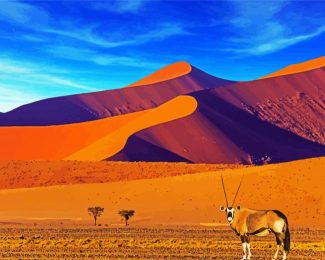 Southern Africa Namibia diamond painting