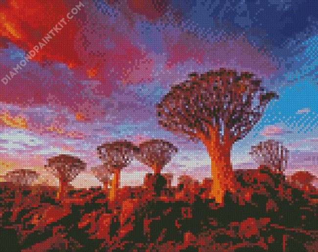 Southern Namibia Aloe Dichotoma Trees diamond painting