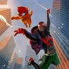 Spider Cat And Spiderman diamond painting