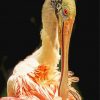 Spoonbill diamond painting