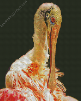 Spoonbill diamond painting