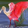 Spoonbill Pink Bird diamond painting