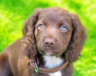 Sprocker Puppy diamond painting