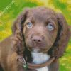 Sprocker Puppy diamond painting