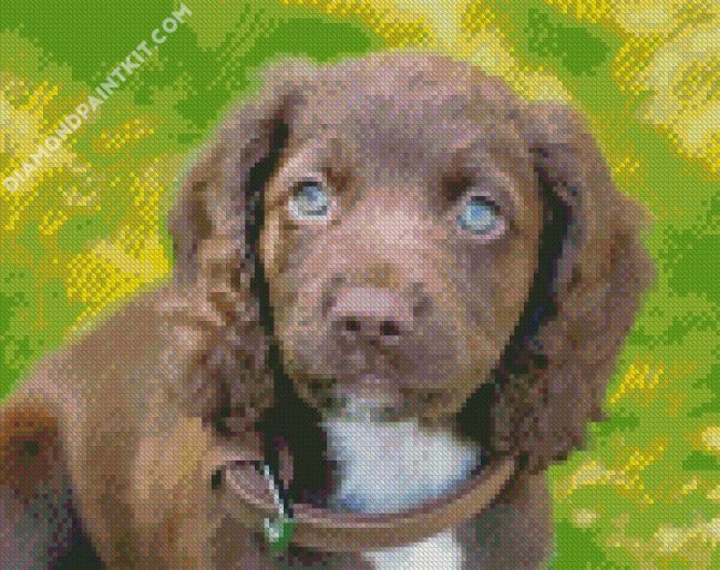 Sprocker Puppy diamond painting