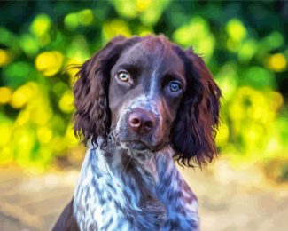 Sprocker Spaniel Dog diamond painting