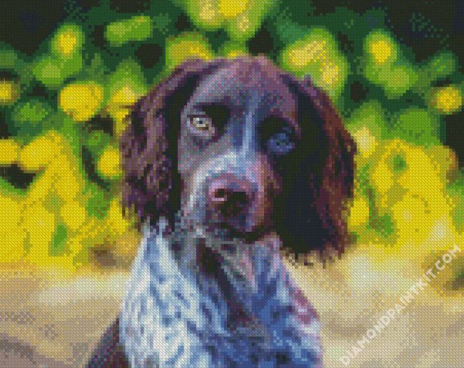 Sprocker Spaniel Dog diamond painting