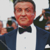 Stallone Sylvester diamond painting