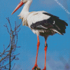 Stork Bird diamond painting