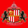 Sunderland AFC Logo diamond painting