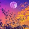 Sunset Full Moon diamond painting