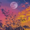 Sunset Full Moon diamond painting