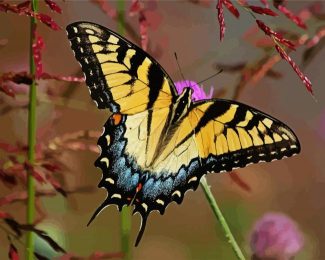 Swallowtail Butterfly diamond painting