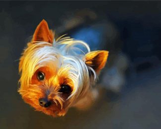 Teacup Yorkshire Terrier diamond painting