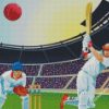 The Cricket Match Player diamond painting