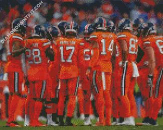 The Denver Broncos Diamond painting