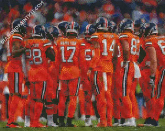 The Denver Broncos Diamond painting