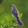 The Northern Mockingbird diamond painting