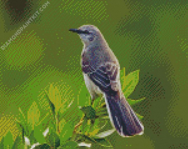 The Northern Mockingbird diamond painting