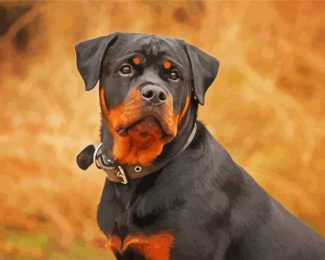 The Rottweiler Dog diamond painting