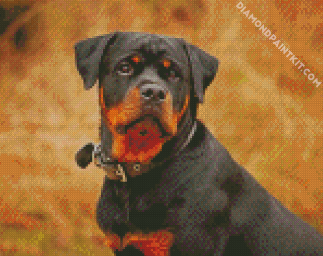 The Rottweiler Dog diamond painting