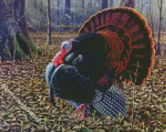 The Turkey Bird diamond painting