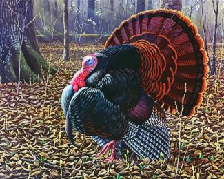 The Turkey Bird diamond painting