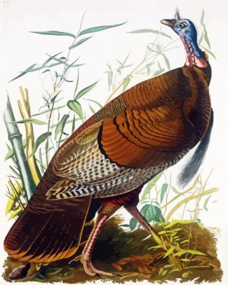 The Wild Turkey Audubon diamond painting