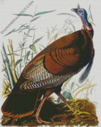 The Wild Turkey Audubon diamond painting