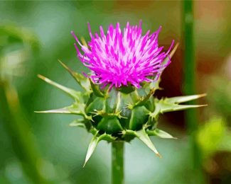 Thistle Plant diamond painting