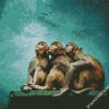 Three Monkeys diamond painting