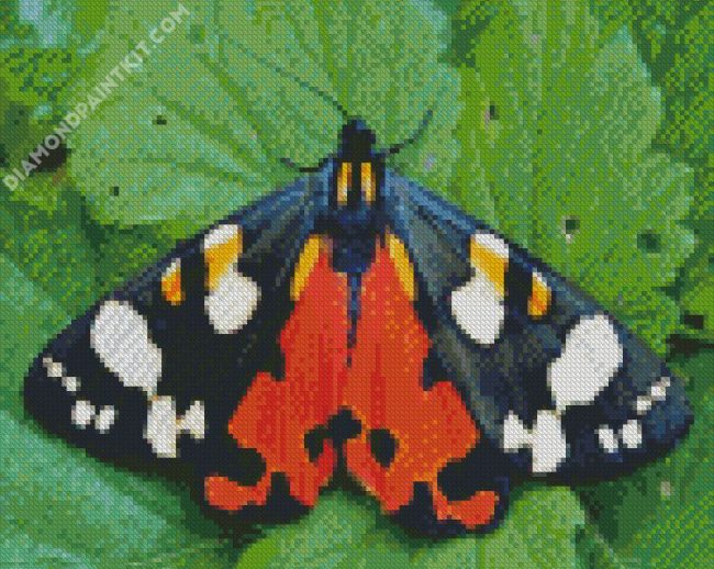 Tiger Moth Butterfly diamond painting