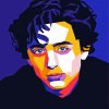 Timothee Chalamet Pop Art diamond painting