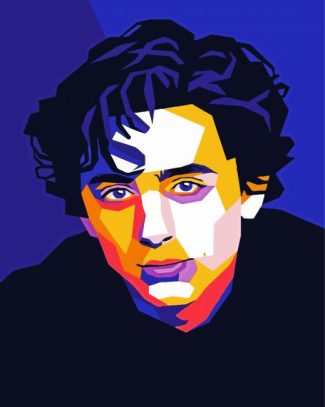 Timothee Chalamet Pop Art diamond painting