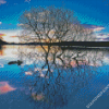 Tree Reflection On Lake diamond painting