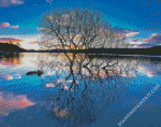 Tree Reflection On Lake diamond painting