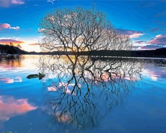 Tree Reflection On Lake diamond painting