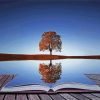 Tree Reflection diamond painting