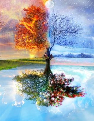 Tree Through the Seasons diamond painting