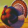 Turkey Bird diamond painting