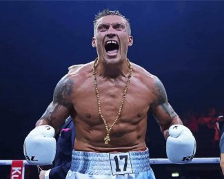 Ukrainian Professional Boxer Oleksandr Usyk diamond painting